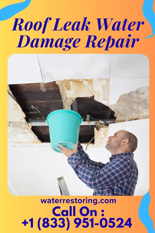Roof Leak Water Damage Repair in Wixon Valley, TX